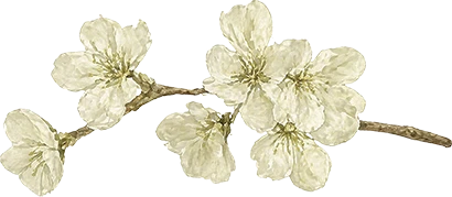 cherry blossom green yellow