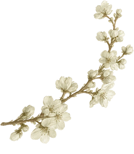 cherry blossom green